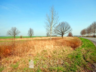 Działka budowlana Środa Śląska