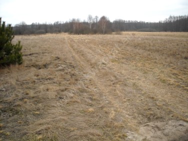 Działka rolna Radziwiłka