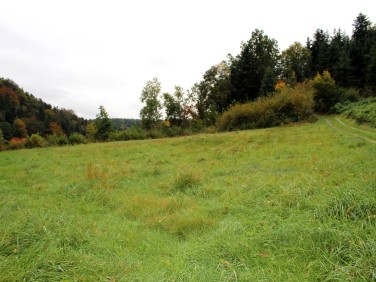 Działka budowlana Raciechowice