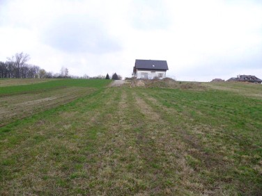 Działka budowlana Pisary