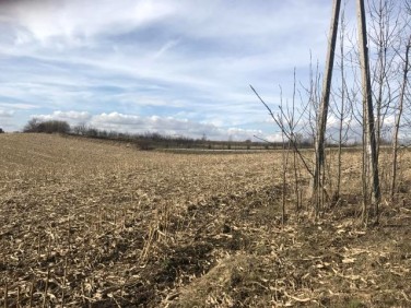 Działka budowlano-rolna Luborzyca