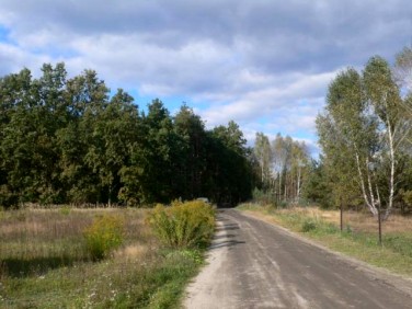 Działka budowlana Sulejówek sprzedam