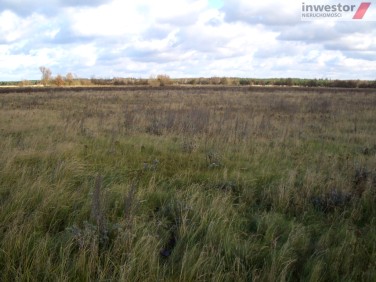 Działka rolna Łęgi