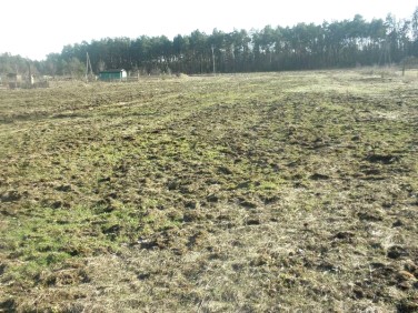 Działka budowlana Przylep