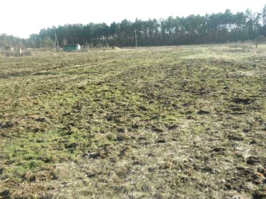 Działka budowlana Przylep