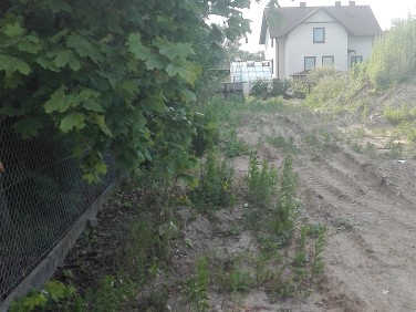 Działka budowlano-rolna Falenty Duże