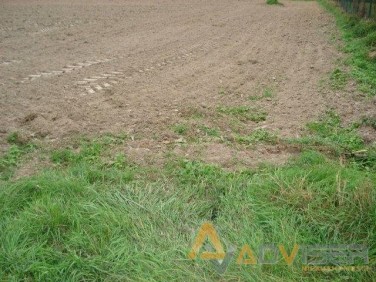 Działka inwestycyjna Teresin