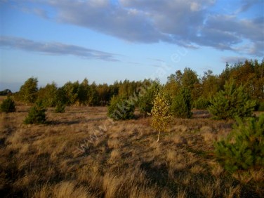 Działka budowlana Teresin