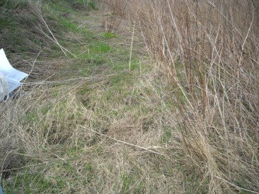 Działka budowlana Teresin sprzedam