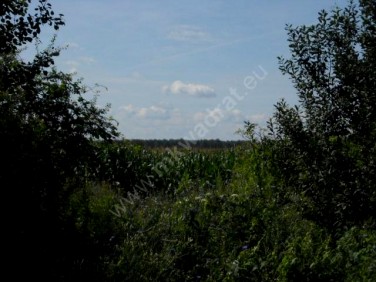 Działka budowlana Teresin