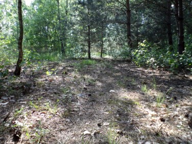 Działka Budy-Grzybek