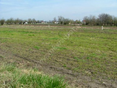 Działka budowlana Teresin