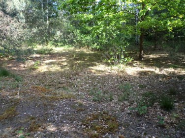 Działka budowlana Budy-Grzybek