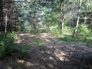 Działka budowlana sprzedam