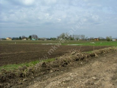 Działka budowlana Teresin