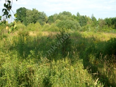 Działka budowlana Budy-Grzybek