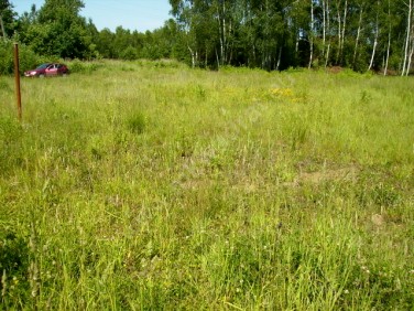 Działka budowlana Budy-Grzybek