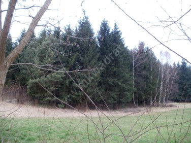 Działka budowlana Dąbrówka