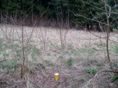 Działka budowlana Dąbrówka sprzedam