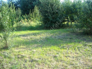 Działka budowlana Budy-Grzybek