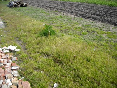 Działka budowlana Teresin