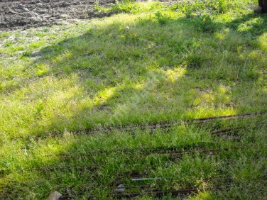 Działka budowlana Teresin