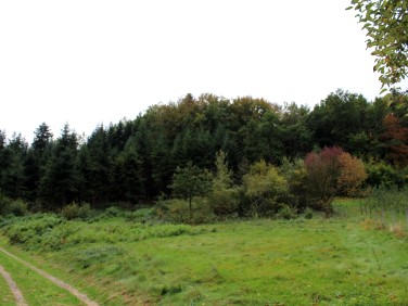 Działka budowlana Raciechowice