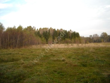 Działka budowlana Budy-Grzybek