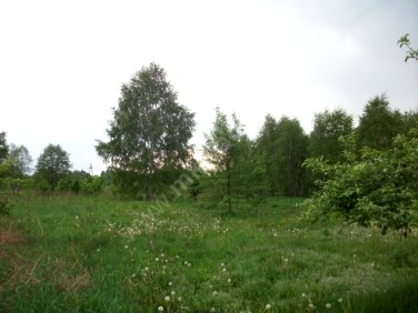 Działka budowlana Budy-Grzybek