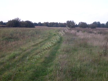 Działka budowlana Teresin