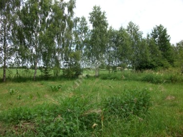 Działka budowlana Teresin