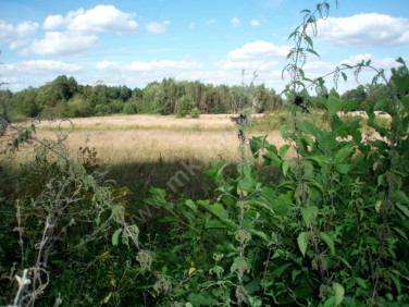 Działka budowlana Budy-Grzybek