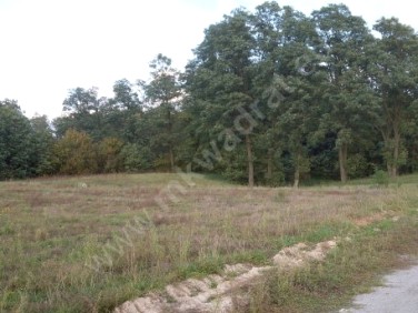 Działka budowlana Teresin