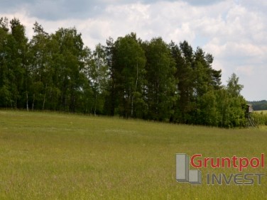 Działka budowlana Błotnia