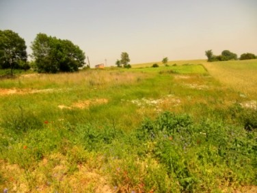 Działka budowlana dolsk , lubiatowo