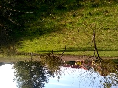 Działka budowlana Przeworsk