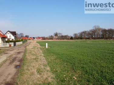 Działka budowlana Wełtyń