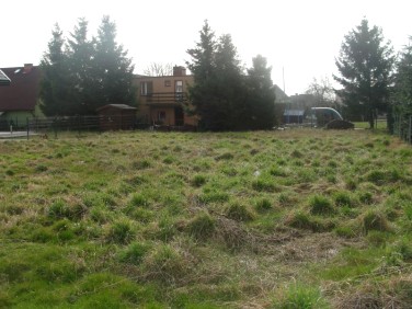 Działka rolna Pierwoszyno