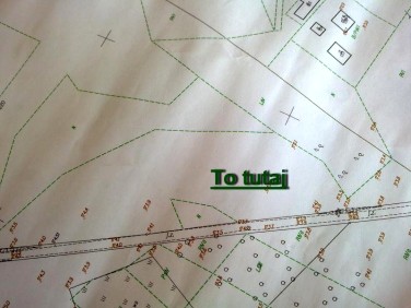 Działka siedliskowa Przyjaźń