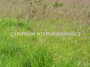 Działka budowlana Trzeciewiec