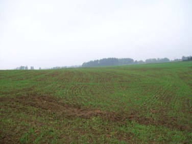 Działka inna Małkowo