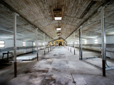 Budynek użytkowy Nadarzyn