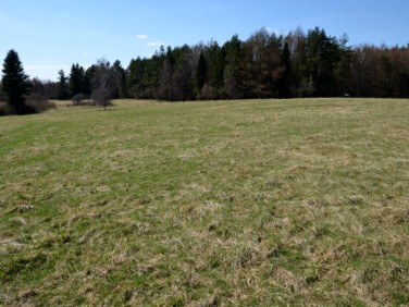 Działka budowlana Mierzeszyn