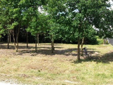 Działka budowlana Sulejówek