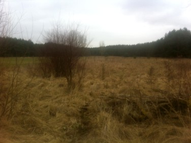 Działka budowlano-rolna Sowno