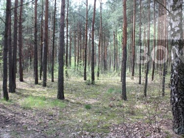 Działka budowlana Sulejówek