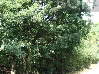 Działka budowlana Sulejówek