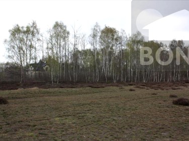 Działka budowlana Wielgolas Brzeziński