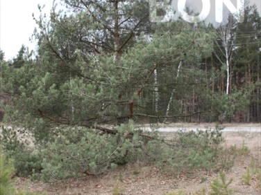 Działka budowlana Sulejówek