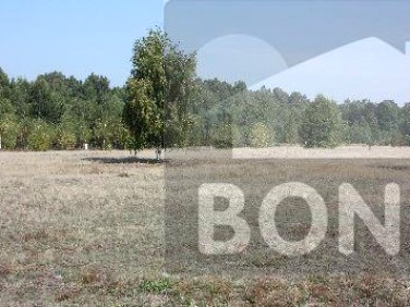 Działka budowlana Wielgolas Brzeziński